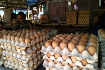 Maret, harga sejumlah sembako di Tapsel fluktuatif