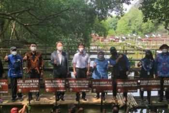 Pemerintah RI  ajak Korea Selatan perkuat kerja sama restorasi mangrove
