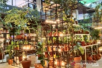 Pemprov DKI ajak warga manfaatkan atap gedung untuk pertanian perkotaan