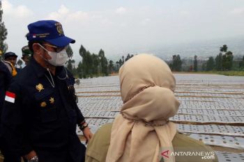 Mentan: Temanggung jadi super-prioritas "food estate"