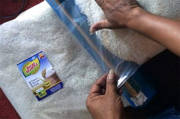Susu dan vetsin bisa untuk kendalikan hama