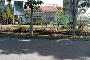 Dinkes : Korban gigitan HPR di Mukomuko bertambah 48 orang