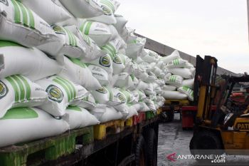 Pupuk langka, Kejagung diminta usut mafia tanah dan pupuk
