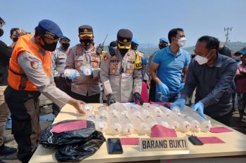 Polres Sukabumi gagalkan penyelundupan ribuan benur lobster ke luar negeri
