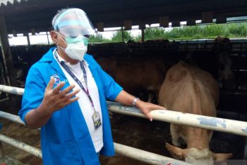 Bupati Buol harap Pemprov Sulteng  kembangkan peternakan berbasis teknologi