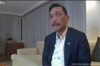 Luhut  Pandjaitan sebut 19 negara diizinkan masuk RI dengan asas resiprokal