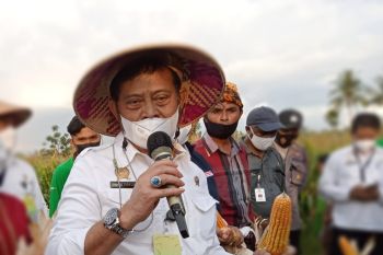 Mentan: Food estate mampu kurangi kemiskinan di Sumba Tengah