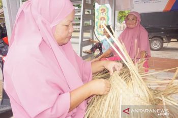 Disperindagkop dan UKM Kaltim kunjungi Kampung Purun Banjarbaru