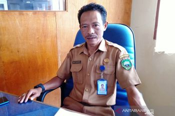209 ekor sapi telah lahir dalam kurun waktu sembilan bulan di Pasaman