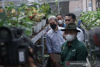 Menkop dan UKM sebut tanaman hias jadi opsi pemulihan ekonomi