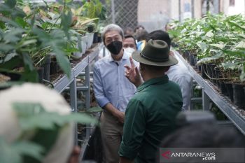Menkop : Tanaman hias jadi opsi pemulihan ekonomi