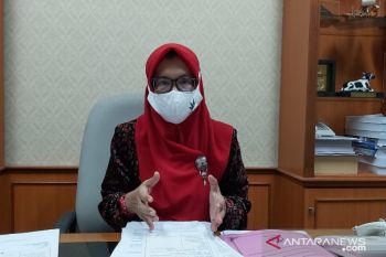 Pemkab Kulon Progo didesak segera memanfaatkan Plaza Kuliner Glagah