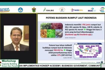 KKP : Revitalisasi usaha budidaya rumput laut tingkatkan produktivitas dan  daya saing