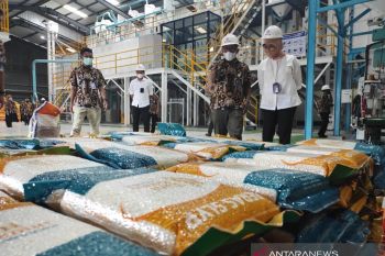 Bulog berupaya perkuat kerja sama dengan Pemda dalam penyaluran beras