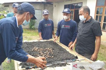 Peneliti imbau petani NTT bersiap masuki musim tanam