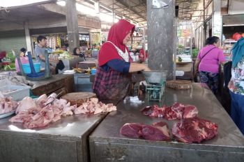 Distan Mataram menambah stok daging beku impor untuk kebutuhan WSBK