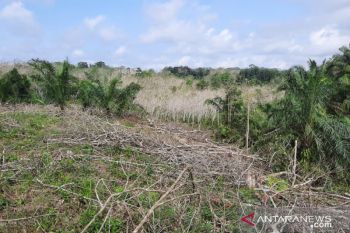 Urgensi penyelesaian konflik agraria di Jambi
