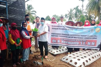 Anggota DPR RI bantu kelompok tani wanita di Solok