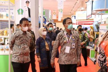 Bupati Pesisir Barat hadiri Apkasi Otonomi Expo tahun 2021