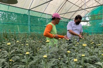 PLN peduli dukung electrifying agriculture di Tomohon