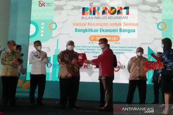 Gubernur Sulawesi Tenggara raih penghargaan Duta Inklusi Keuangan dari OJK