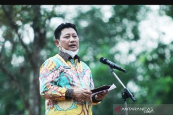 Ratusan pemuda ikut Jambore Relawan DAS Babel