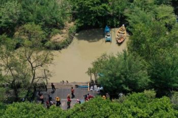 Dua kebun raya mangrove Surabaya mampu serap ribuan ton emisi karbon