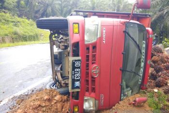 Truk muatan sawit terbalik di jalinsum Mukomuko