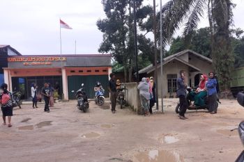 Petani sawit sesalkan rencana rapat Kopsa-M di hotel berbintang