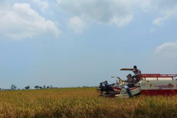 Mentan minta serius bersiap hadapi dampak pemanasan global