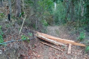 Pemerintah harus lindungi hutan lindung Gunung Lengkuas