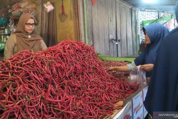 Harga cabai di Pasar Pariaman naik Rp10 ribu/kilogram