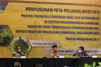 Kementerian bantu kajian peta peluang investasi komoditi gambir Sumbar