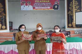 Diskop UKM Kalteng pacu peningkatan SDM perajin di Barsel