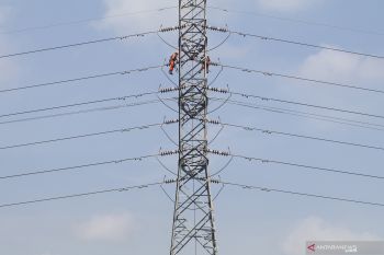 Upaya PLN Turunkan Emisi Karbon