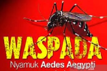 Kasus DBD di Kota Tangerang alami peningkatan
