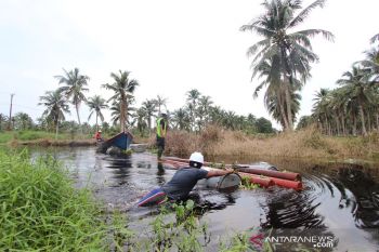 HLN ke-76-PLN terangi 75.278 desa di penjuru negeri, memutar roda ekonomi