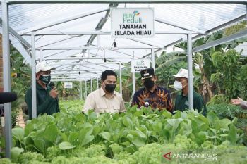 148.290 petani gabung program electrifying agriculture PLN, bantu dongkrak produktivitas