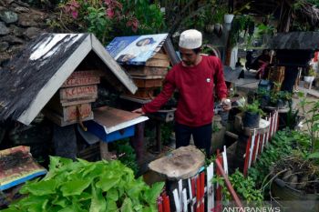 Budi daya madu teuweul di Lampung
