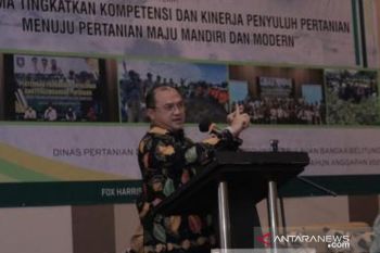 Pemprov Babel berdayakan 380 orang penyuluh pertanian