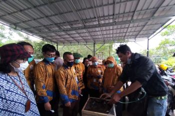 Itera panen madu hasil budidaya bersama Suhita Bee Farm
