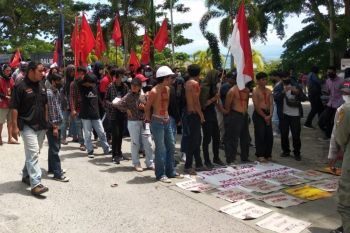 FPPI Sulbar minta bantuan pupuk untuk petani