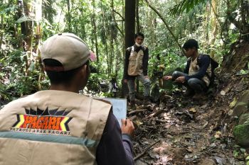 BKSDA Sumbar bentuk tim Pagari dukung nagari Ramah Harimau di Agam