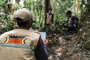 BKSDA bentuk Tim Pagari untuk dukung program nagari Ramah Harimau di Agam