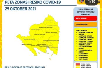 Kasus harian COVID-19 di Lampung bertambah 11 pasien, kematian nihil