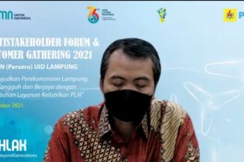 PLN Lampung catat surplus daya listrik capai 300 megawatt