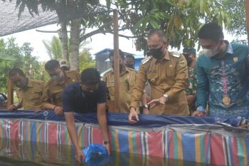 Perusahaan swasta diminta serap hasil panen pokdakan di Gumas