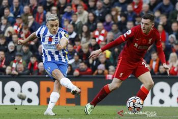Liverpool diimbangi Brighton 2-2