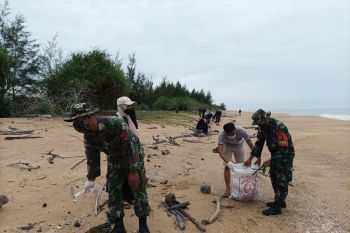 300 ekor tukik berlomba capai bibit Pantai Paloh