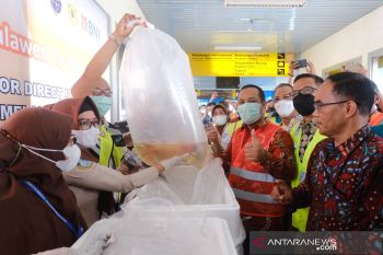 Genjot ekspor, Pemprov Sulsel siapkan bantuan hingga Rp10 miliar